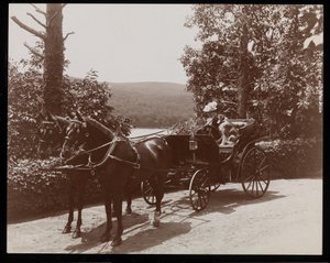 Een vrouw en een hond in een door paarden getrokken koets, 1899 door Byron Company